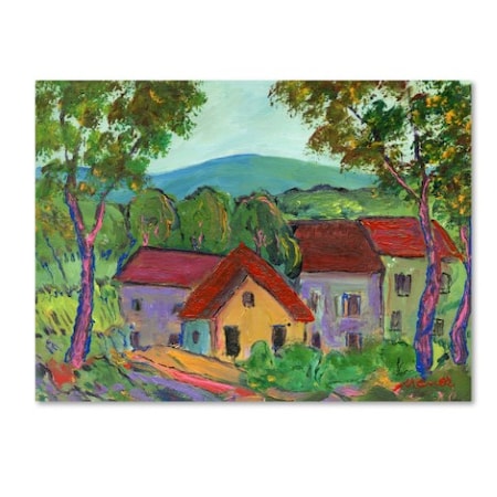 Manor Shadian 'Rainbow Home' Canvas Art,24x32